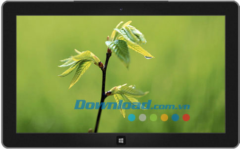 Saplings theme