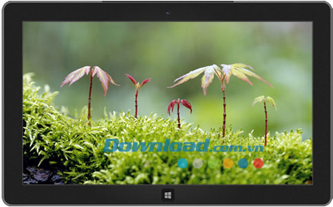 Saplings theme