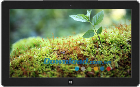 Saplings theme