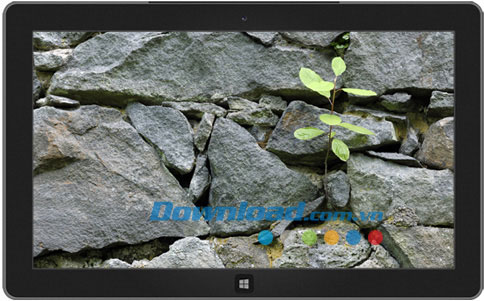 Saplings theme