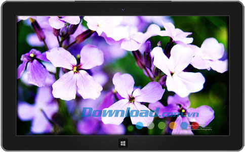 Garden Life 2 theme