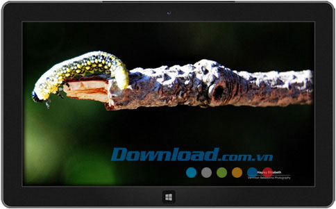 Garden Life 2 theme