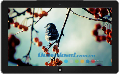 Garden Seasons theme