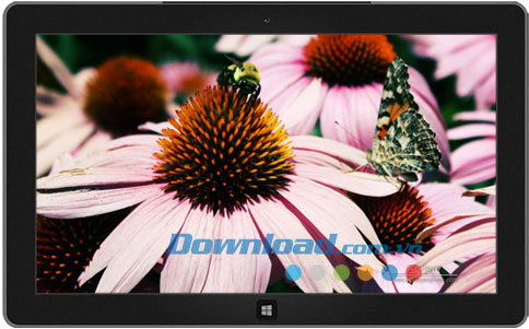 Garden Seasons theme