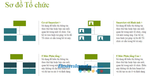 Sơ đồ tổ chức