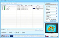 DDVideo SWF to iPod Converter Standard