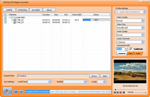 iDVDrip DVD Ripper Converter