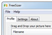 FreeSizer Portable (32 bit)