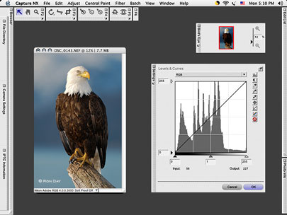 Nikon Capture NX
