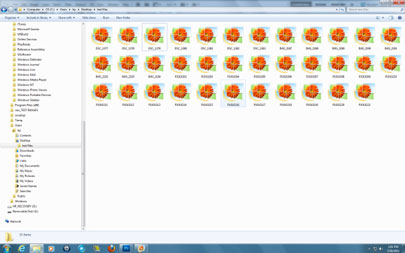 Microsoft Camera Codec Pack 