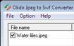 Okdo Jpeg to Swf Converter