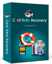 Card Data Recovery