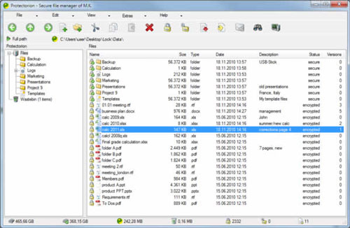 Protectorion Secure File Manager 