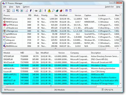 Portable EF Process Manager