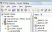 EF File Catalog