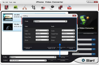 BlazeVideo iPhone Video Converter