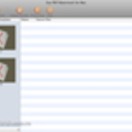 🖼️