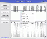 SWF to MP3 Converter