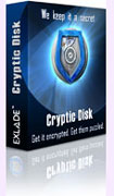 Cryptic Disk Professional Edition