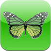 Effects Studio for iOS