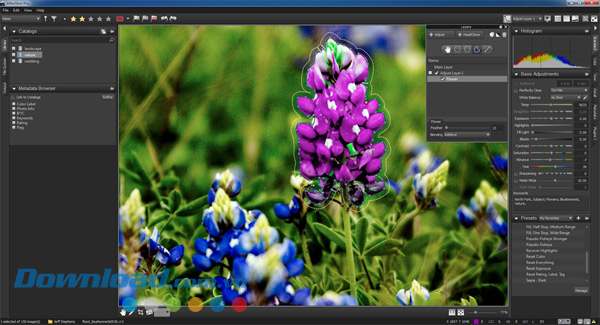 Corel AfterShot Pro 