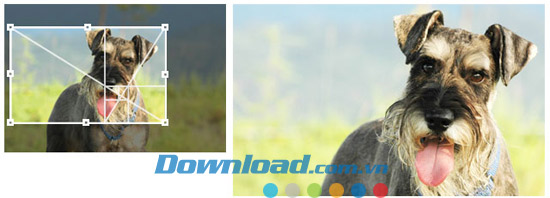 Corel PhotoImpact