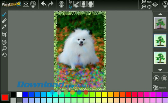 Corel Paint it!