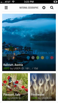 Feedly for iOS