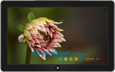 Garden Glimpses theme