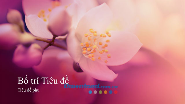 Bản trình bày có hình hoa đào