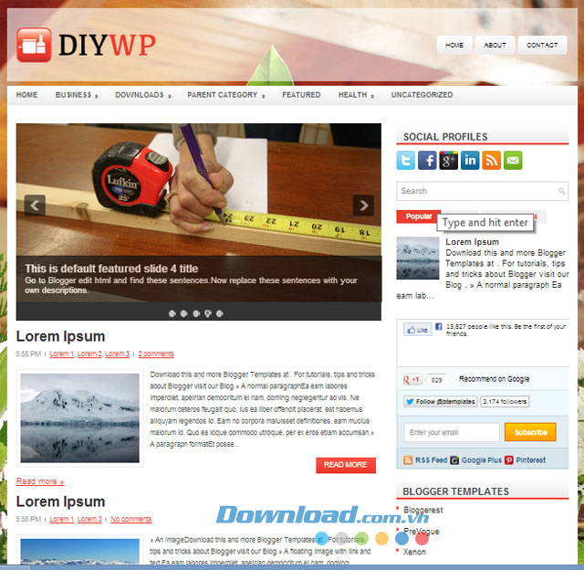 Giao diện mẫu DIYWP