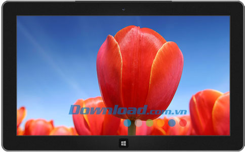 Netherlands theme
