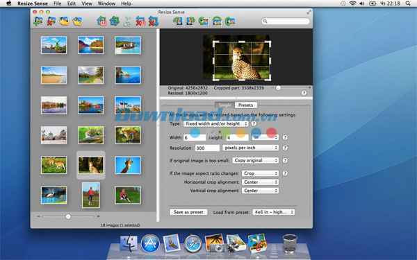Resize Sense