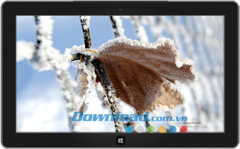 Winter Garden theme