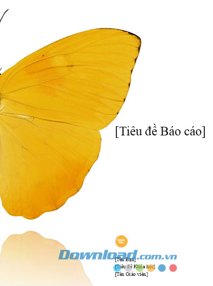 Báo cáo của sinh viên
