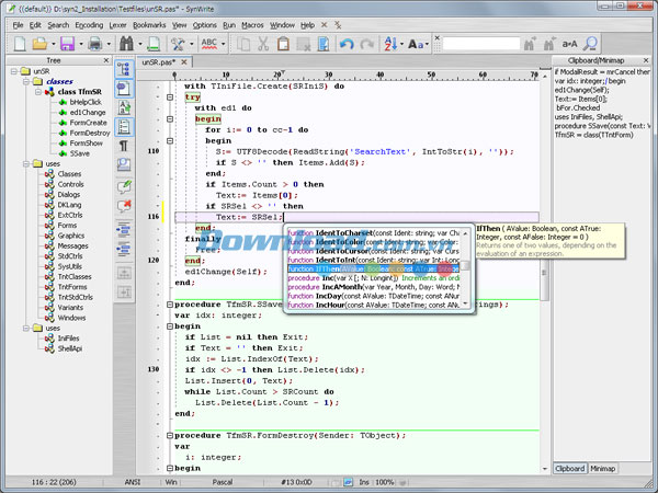 SynWrite 