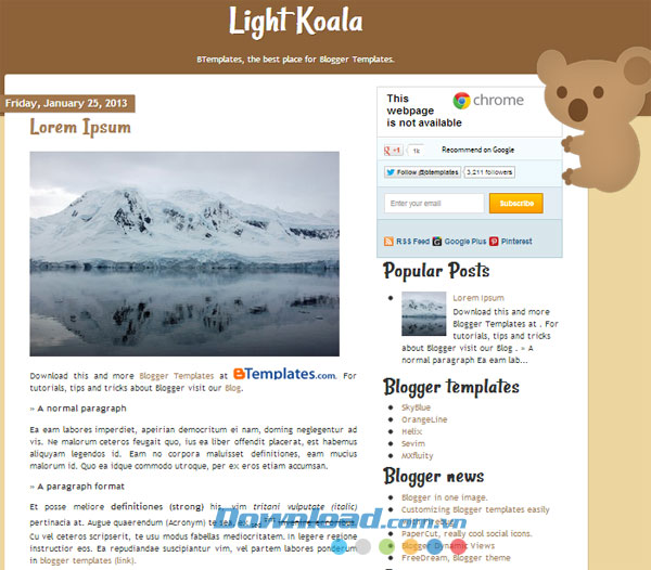 Light Koala