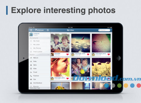 Padgram for iPad