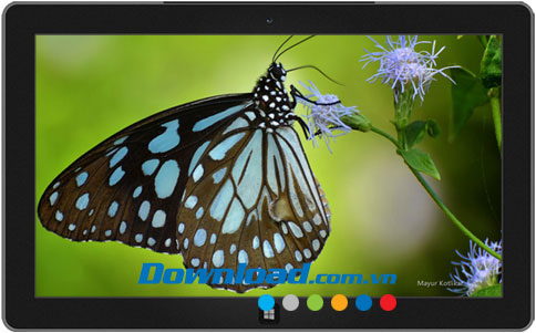 Butterflies of Nagpur theme