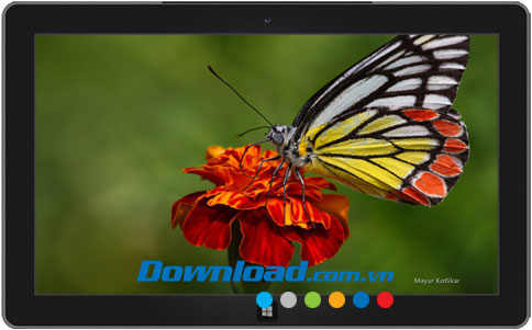 Butterflies of Nagpur theme