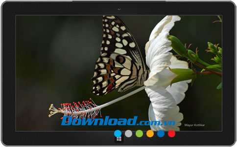 Butterflies of Nagpur theme