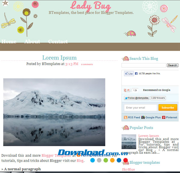 Lady Bug