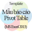 Mẫu báo cáo Pivot Table