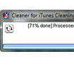 Cleaner for iTunes