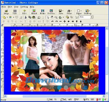 Photo Collage