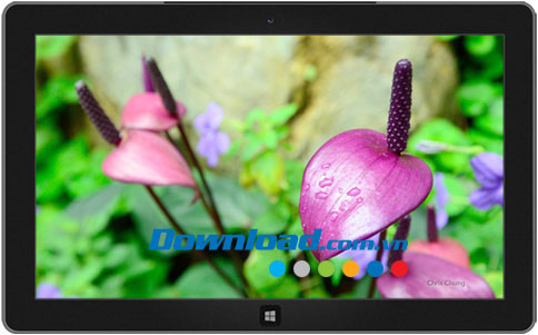 Hong Kong park theme