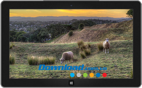 New Zealand Landscapes: One Tree Hill theme