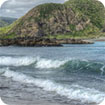 New Zealand Landscapes: West Coast theme