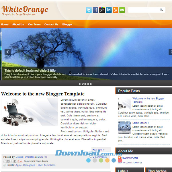 WhiteOrange