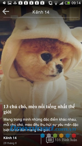 Đọc tin Pega for Android